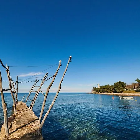 Morning Light Umag