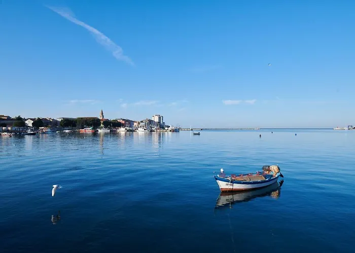 Morning Light * Ουμάγκ