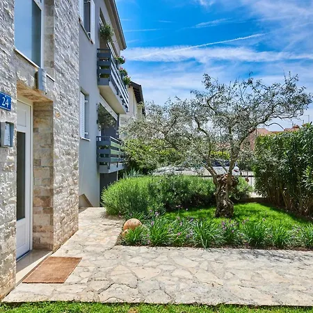 Morning Light Daire Umag