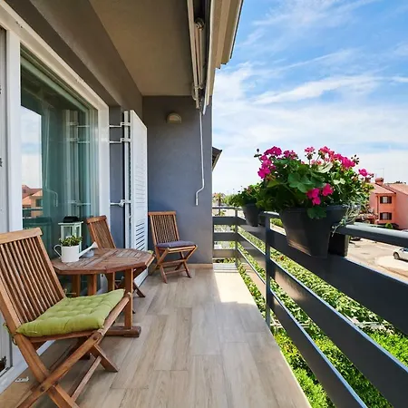 Daire Morning Light *