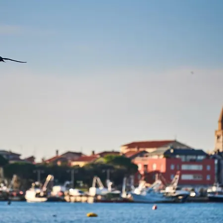 Daire Morning Light Umag