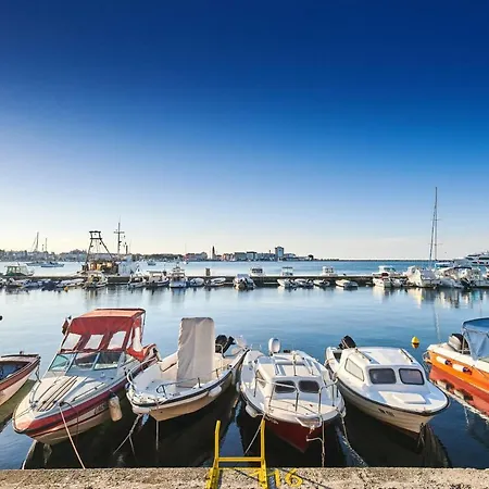 Daire Morning Light Umag