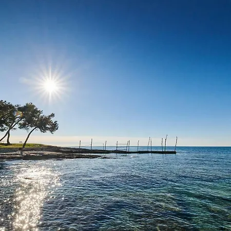 Daire Morning Light Umag