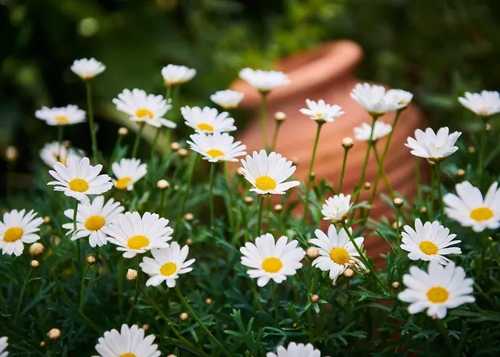 아파트 Morning Light